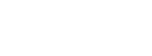 light logo